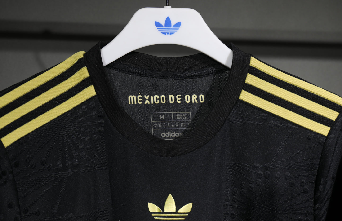 MÉXICO 2025 LOCAL