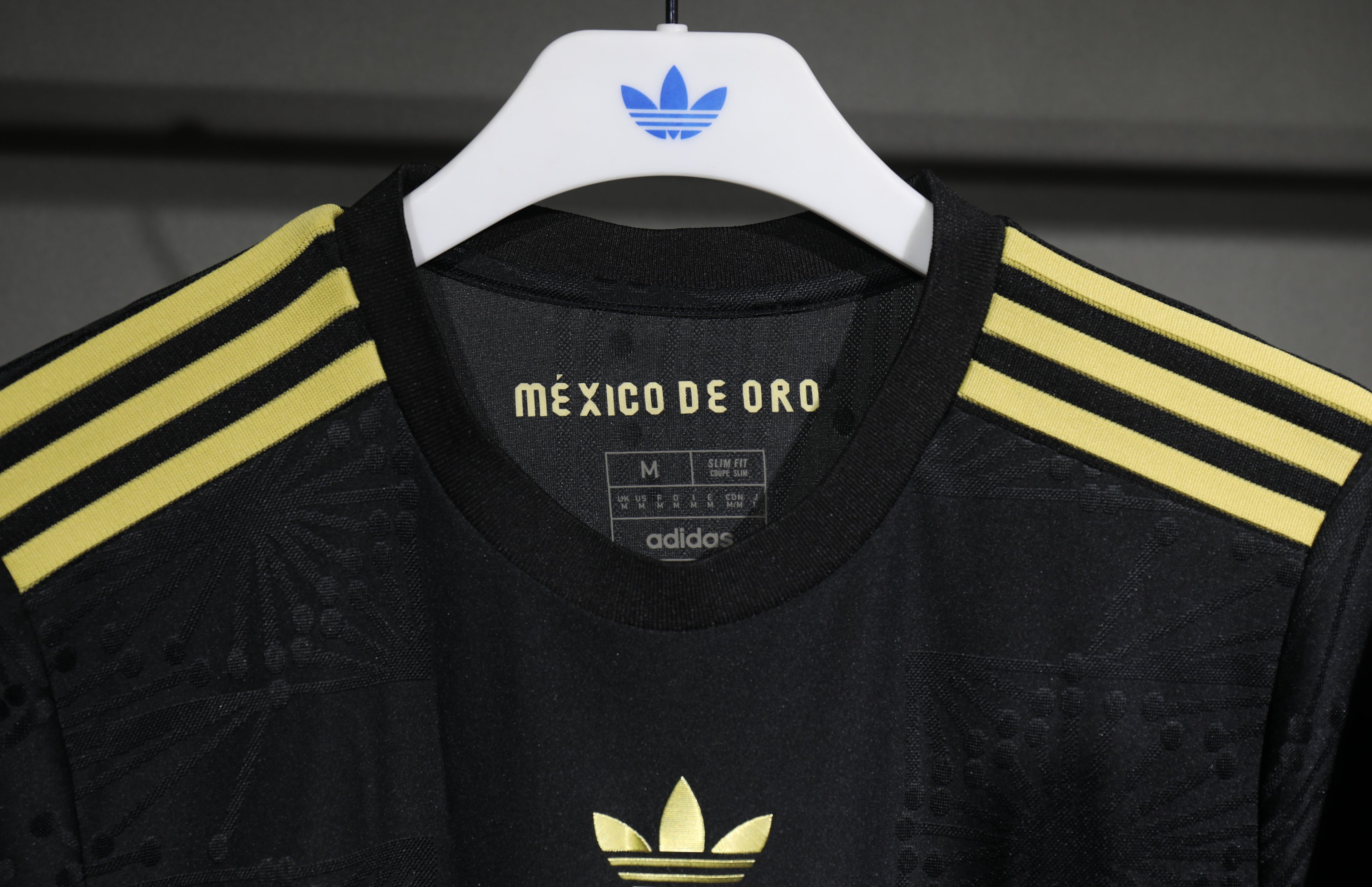 MÉXICO 2025 LOCAL