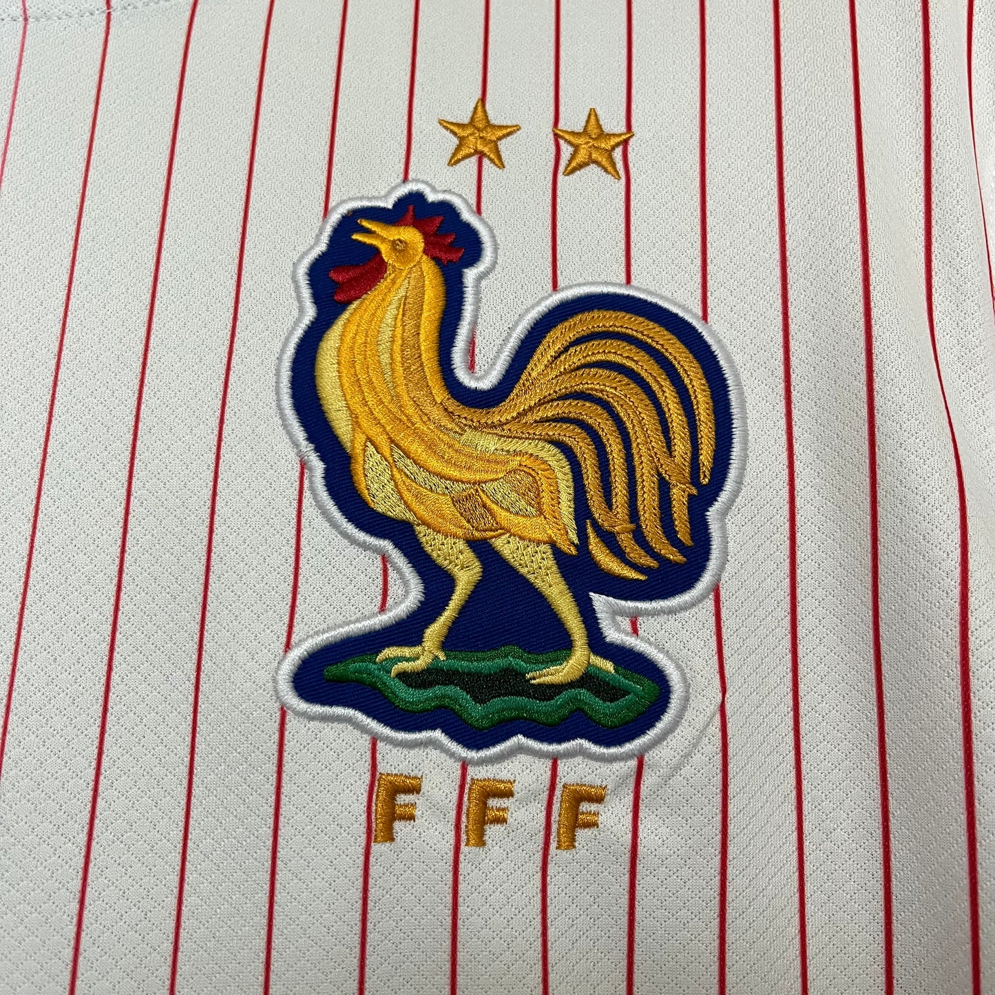 FRANCIA 2024 VISITA