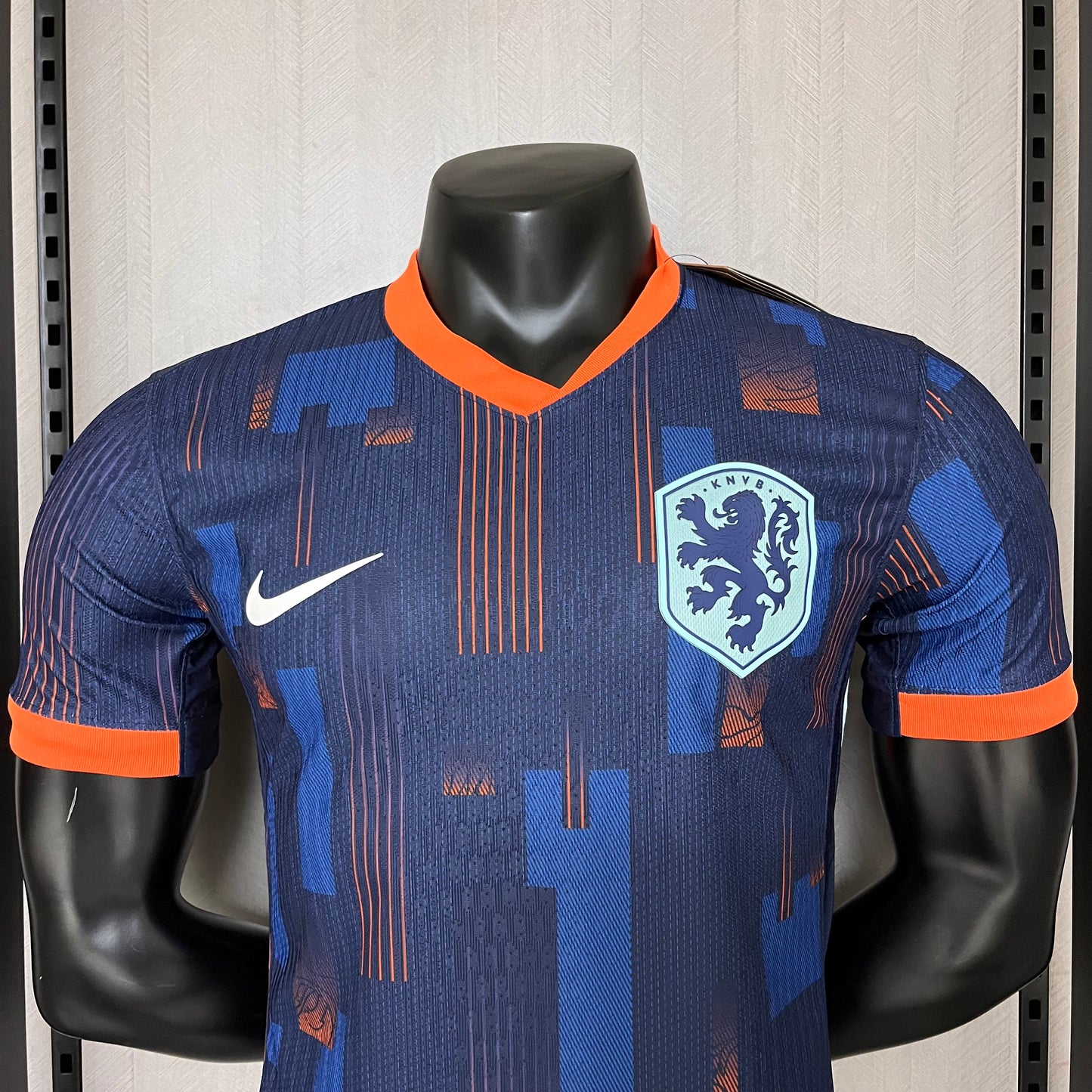 HOLANDA 2024 VISITA