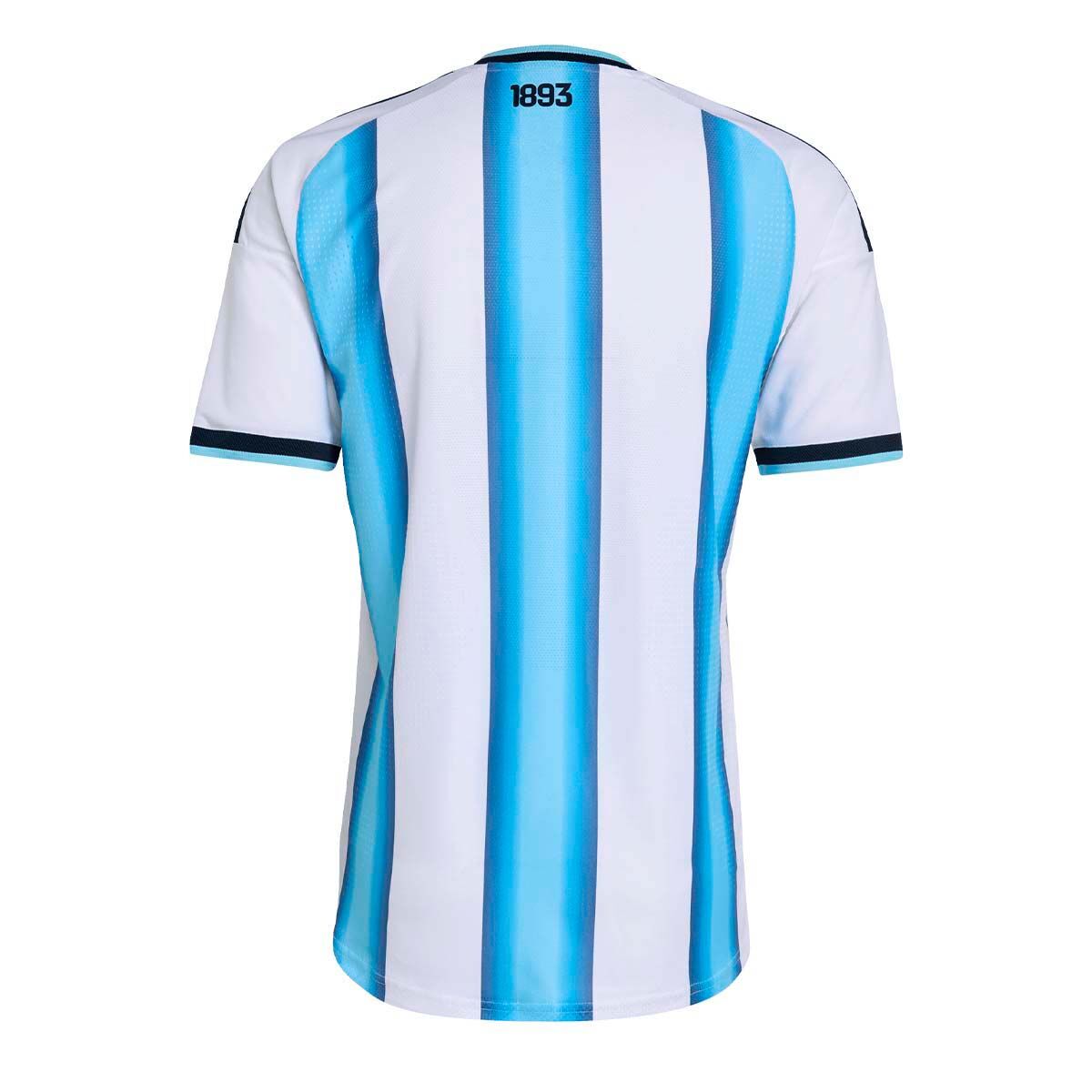 ARGENTINA 2026 LOCAL