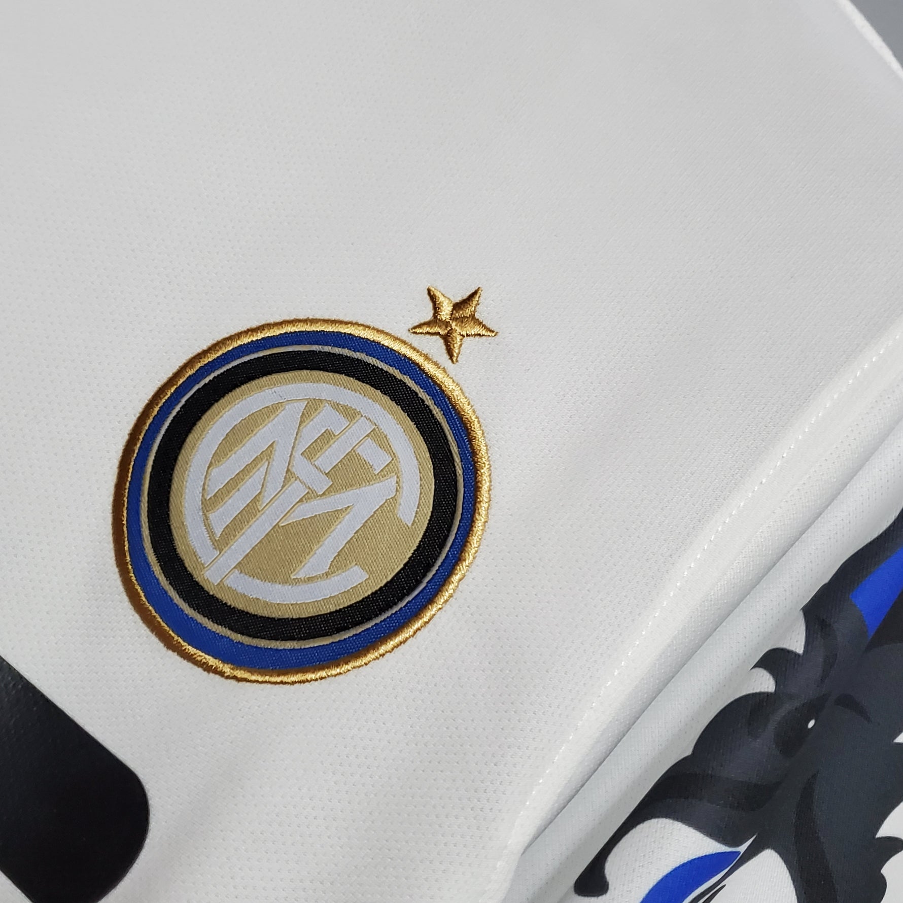 INTER MILAN 10/11 VISITA