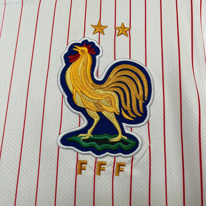 FRANCIA 2024 VISITA