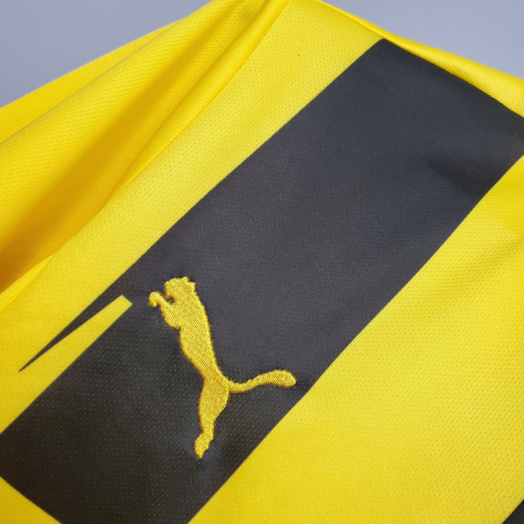 BORUSSIA DORTMUND 12/13 CHAMPIONS LEAGUE
