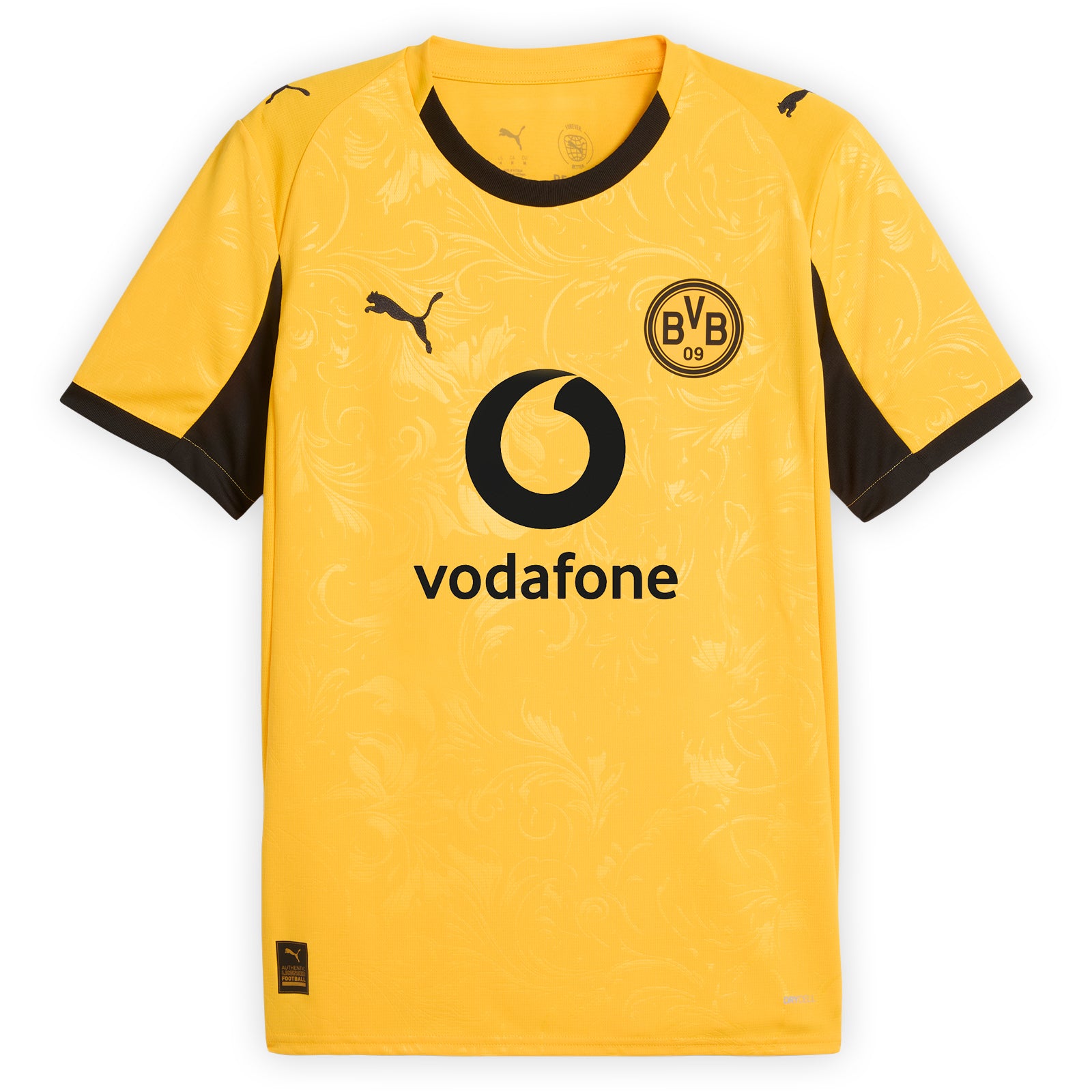 BORUSSIA DORTMUND 25/26 COPAS