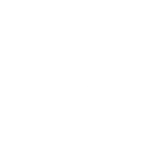 Vintage Champions