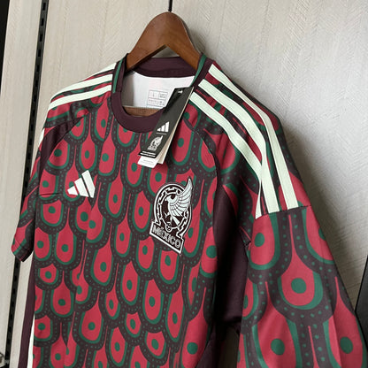 MÉXICO 2024 LOCAL