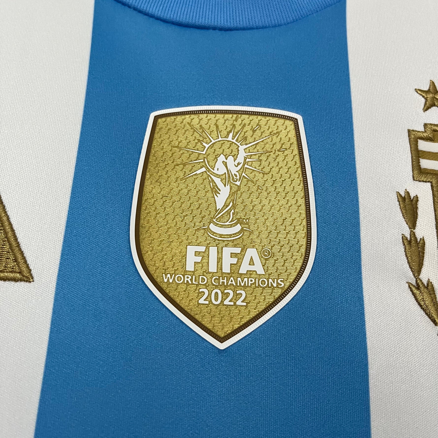 MESSI - ARGENTINA 2024 LOCAL
