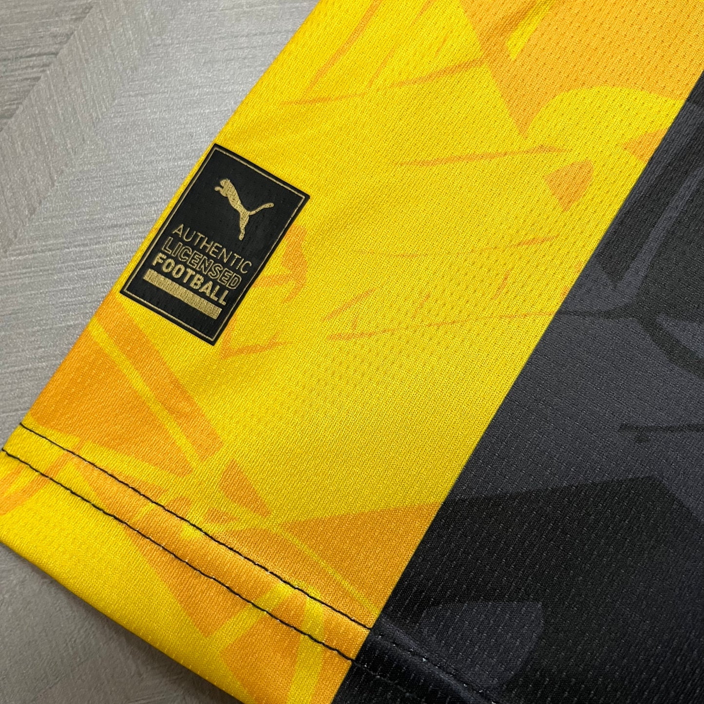 BORUSSIA DORTMUND 23/24 EDICIÓN ESPECIAL